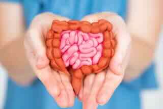 gut health