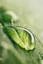 water fastining effects