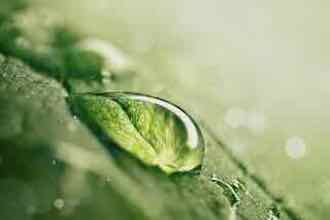 water fasting